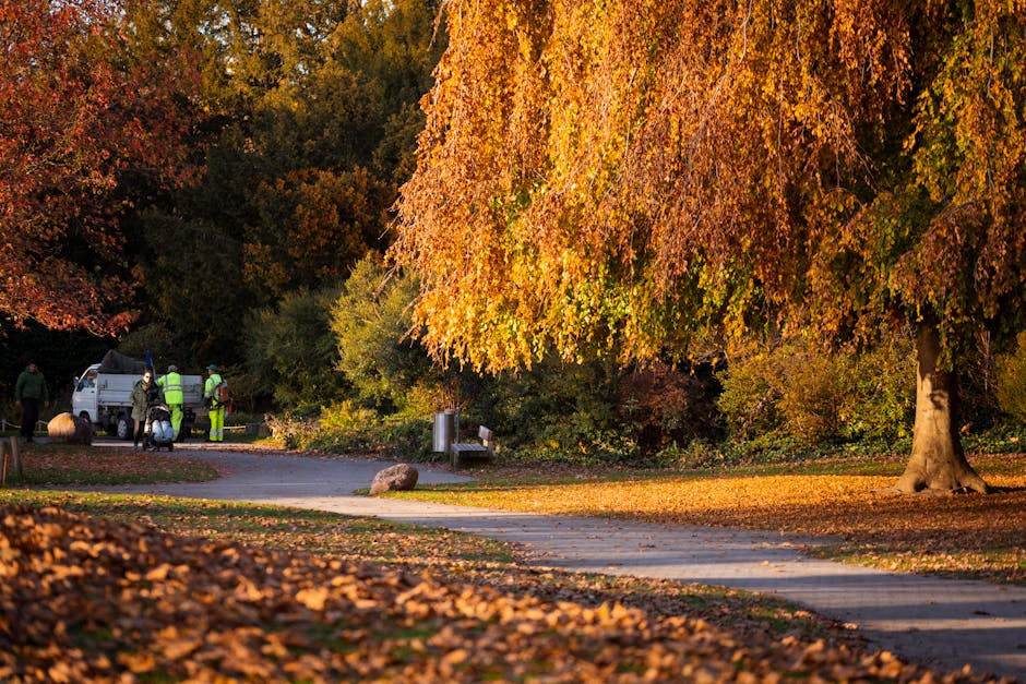 A group of five workers in high-visibility safety jackets and helmets standing near a white van on a paved pathway in a park during autumn. The vehicle is parked adjacent to a lush, large deciduous tree with vibrant orange and yellow leaves that partially shade the area. The workers appear to be engaged in a task related to waste or rubbish collection, with some leaning over or inspecting items near the van. The surrounding environment includes fallen leaves scattered across the pathway and grassy areas, with a background of dense trees displaying a mixture of red, orange, green, and yellow foliage. The scene is illuminated by warm, natural sunlight, creating a serene and seasonally representative outdoor setting reflecting an independent waste collection or on-site rubbish removal within a park environment as serviced by rubbishcollectionchiswick.co.uk.